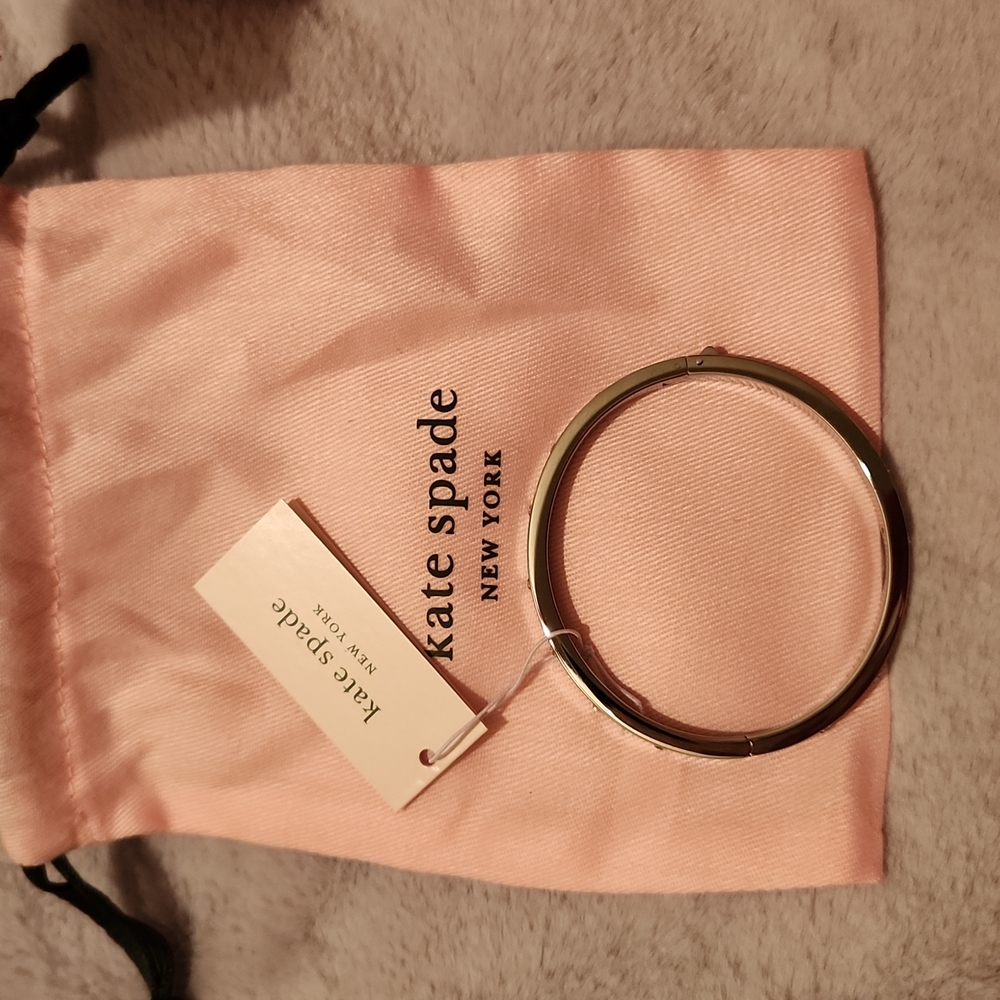 NWT Silver hinge bracelet